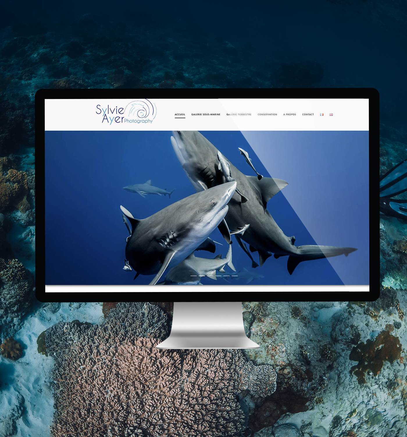 Sylvie Ayer - Digitale - Expression Sylvie Ayer - Digitale - Expression